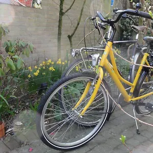 https://bb-aan-het-park-eindhoven.eindhoven-hotels.net